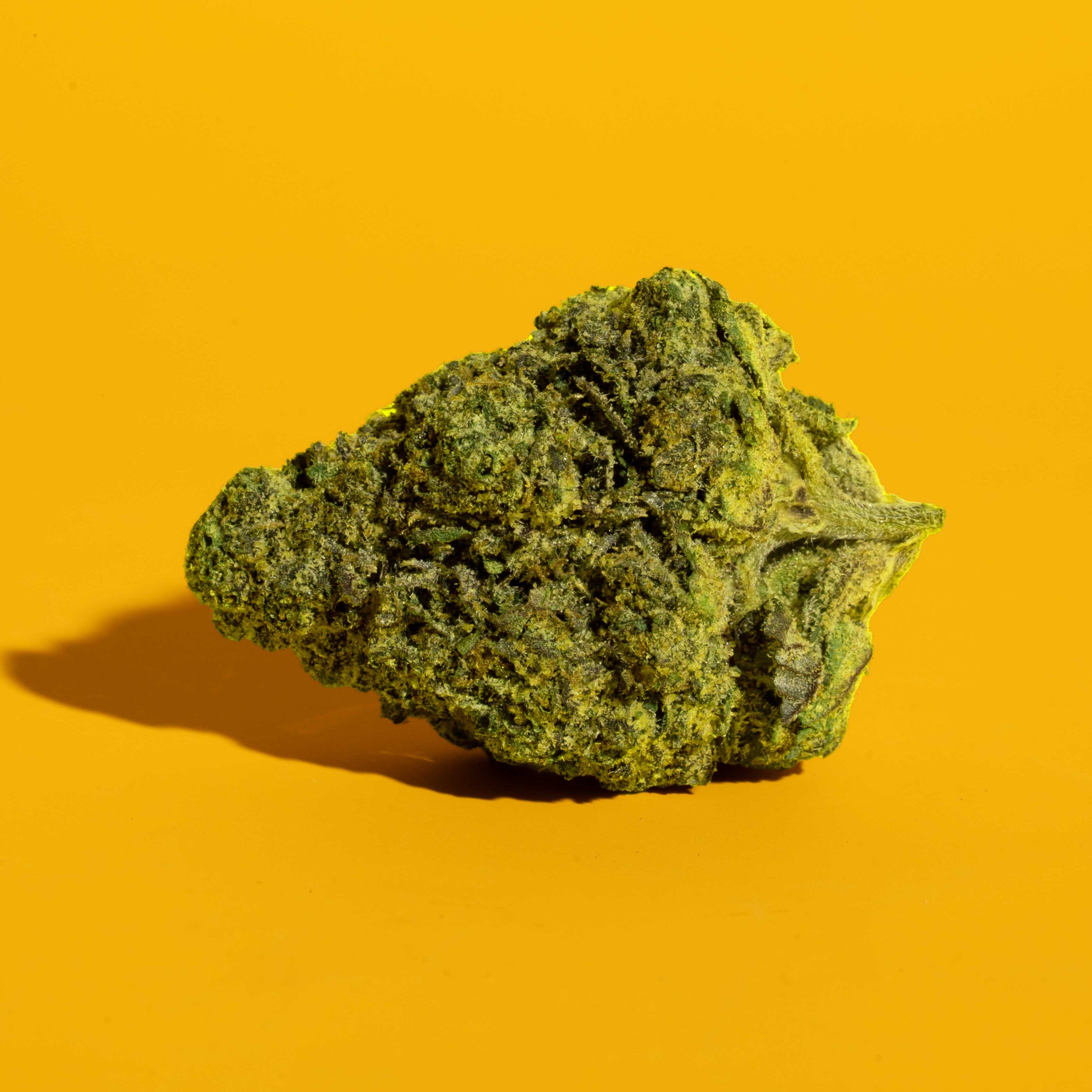 Lemon Butter | Sativa Flower 1/8th
